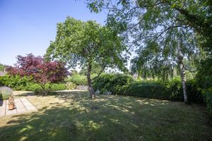 Garden- click for photo gallery